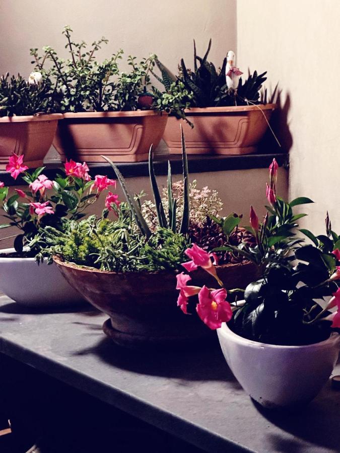 Borgo Antico B&B Foggia Kültér fotó